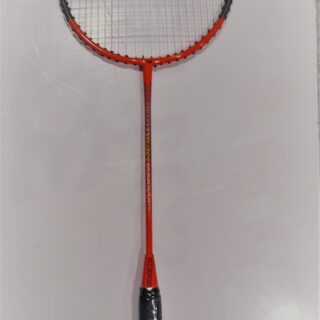 RAQUETA BADMINTON B166/21