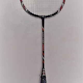 RAQUETA BADMINTON B169/21