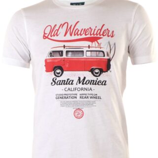 CAMISETA ALGODóN HOMBRE