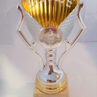 COPA ALTO 16CM BASE 55*55*30