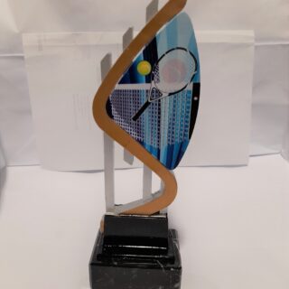 TROFEO 5391-1 ALTURA 26CM