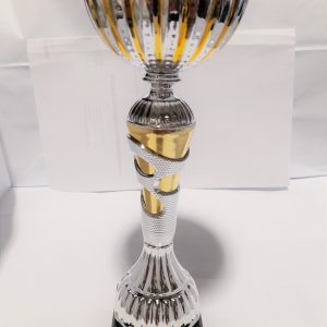 TROFEO 5187-6 ALTURA 27CM