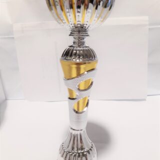 TROFEO 5187-7 ALTURA 25CM