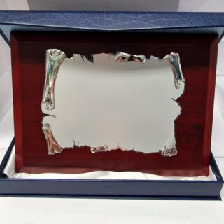 PLACA SUBLI. 97302-1  BASE-290MM ALTURA-210MM