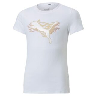 CAMISETA PUMA ALPHA 670213