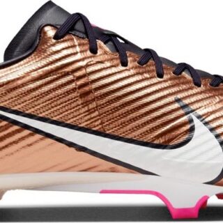 BOTAS NIKE DR5941-810