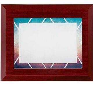 PLACA PALL 97237-1 29X21CM