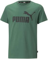 LOGO CAMISETA VERDE 586960 37