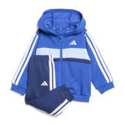 CHANDAL ADIDAS KC6004