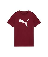 CAMISA PUMA 684907