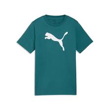 CAMISA PUMA 684907-41