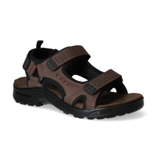 CHOLAS JHAYBER SARIO BROWN